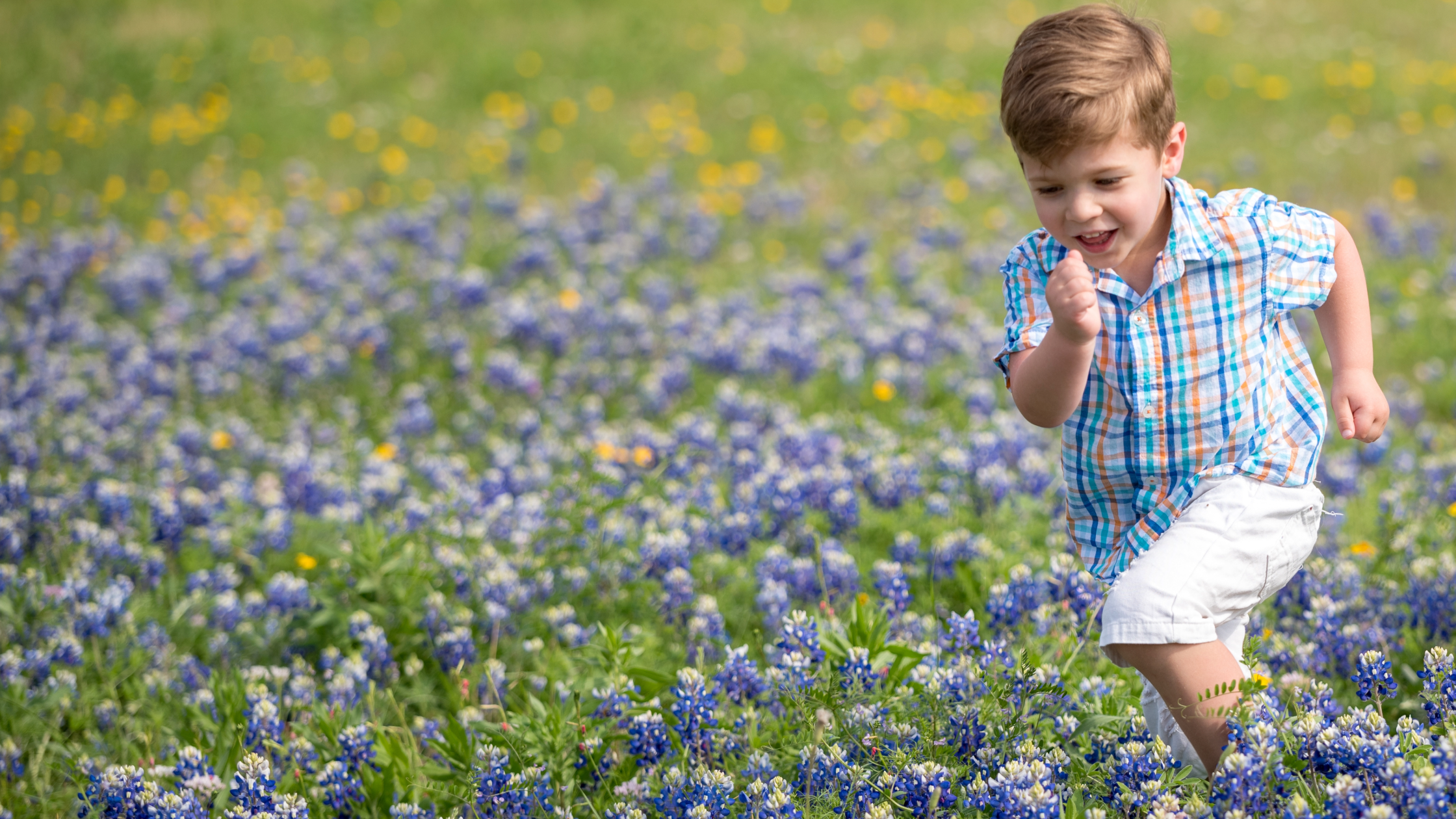 Young boy enjoying Texas bluebonnets in Spring